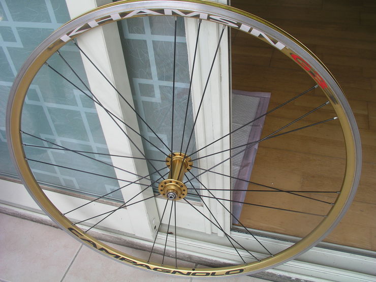 P1011677.JPG