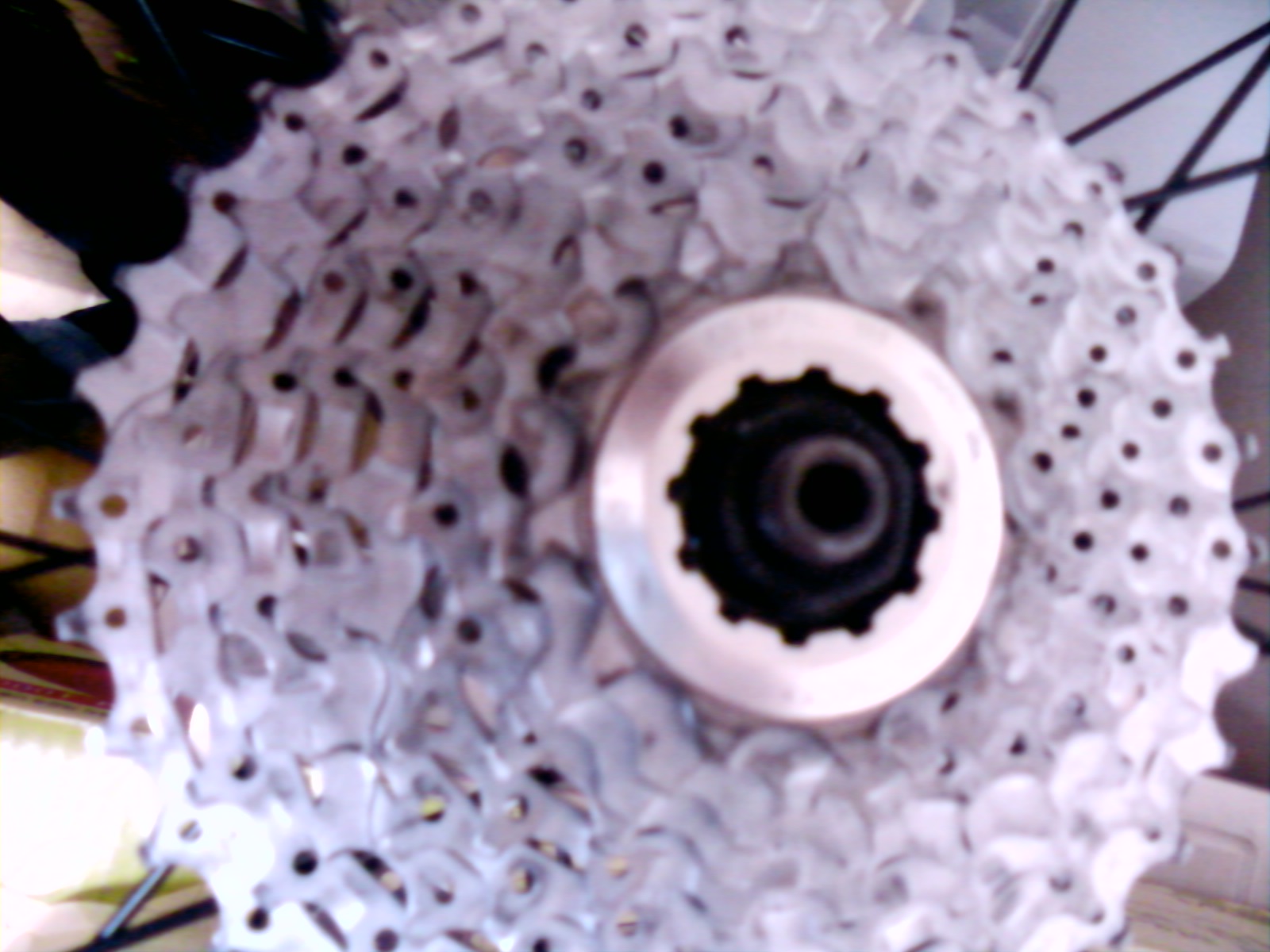 P100124002.jpg