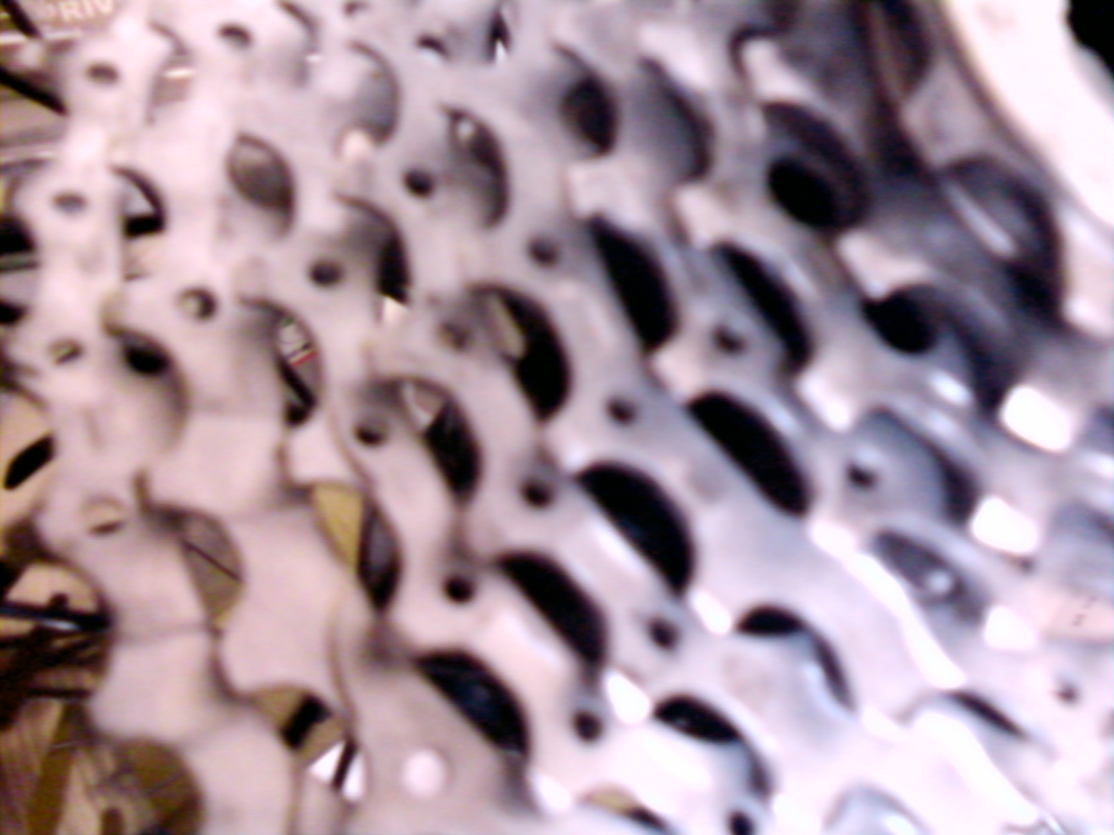 P100124003.jpg